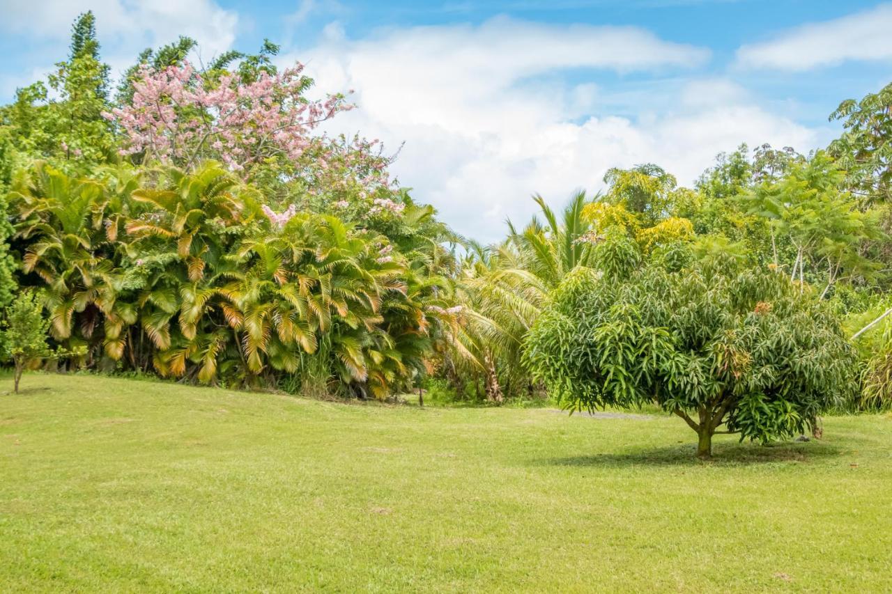 Off-Grid Getaway With Ocean Views In Paradise Pahoa Luaran gambar