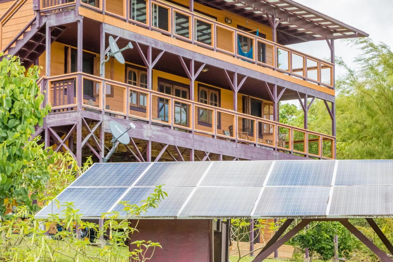 Off-Grid Getaway With Ocean Views In Paradise Pahoa Luaran gambar