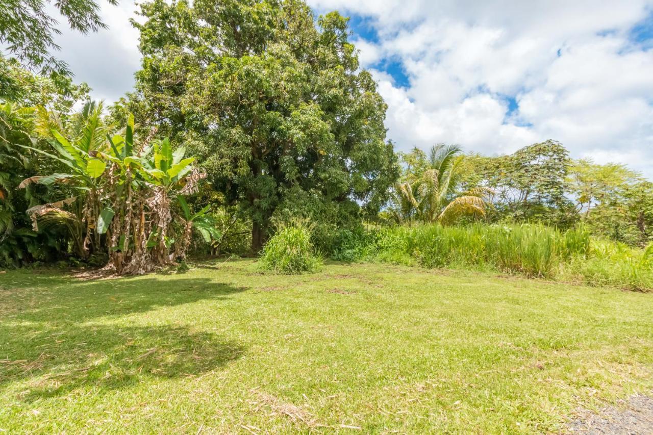 Off-Grid Getaway With Ocean Views In Paradise Pahoa Luaran gambar