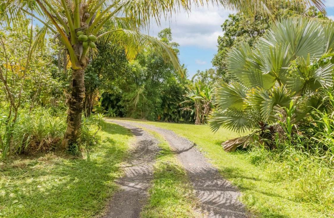 Off-Grid Getaway With Ocean Views In Paradise Pahoa Luaran gambar