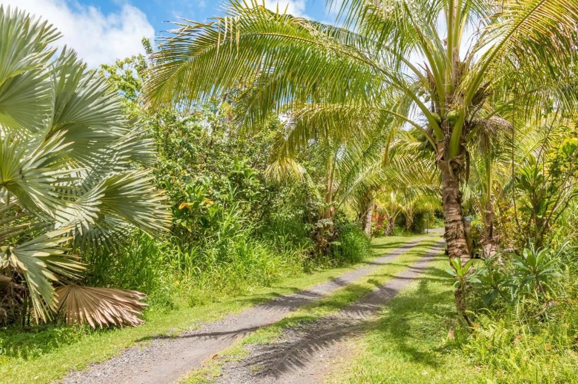 Off-Grid Getaway With Ocean Views In Paradise Pahoa Luaran gambar